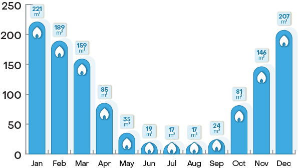 Hoe werkte het prijsplafond precies?  gas